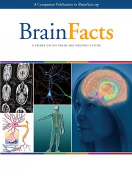 BrainFacts: A Primer on the Brain and Nervous System, 