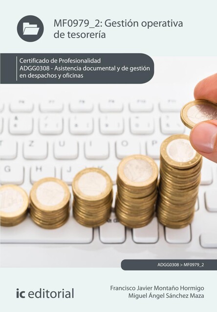 Gestión operativa de tesorería. ADGD0308, Innovación y Cualificación S.L., Francisco Javier Montaño Hormigo