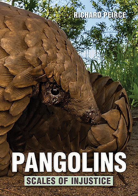 Pangolins – Scales of Injustice, Richard Peirce