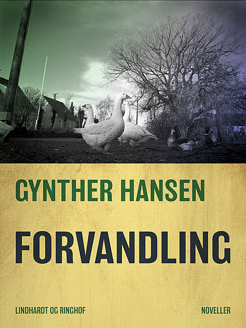 Forvandling, Gynther Hansen