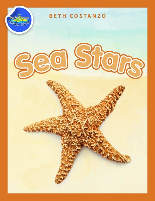 Sea Stars Activity Workbook ages 4–8, Beth Costanzo