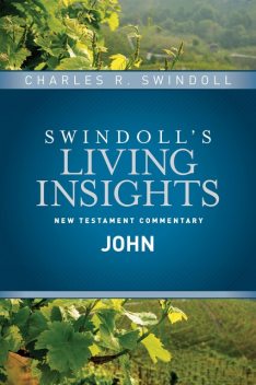 Insights on John, Charles R. Swindoll
