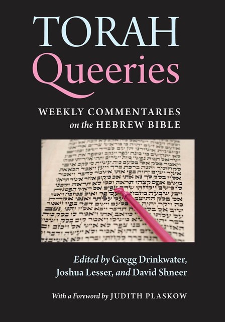 Torah Queeries, David Shneer