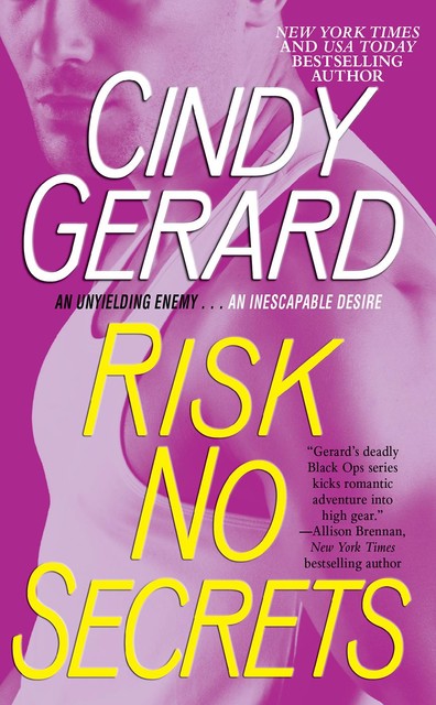 Risk No Secrets, Cindy Gerard