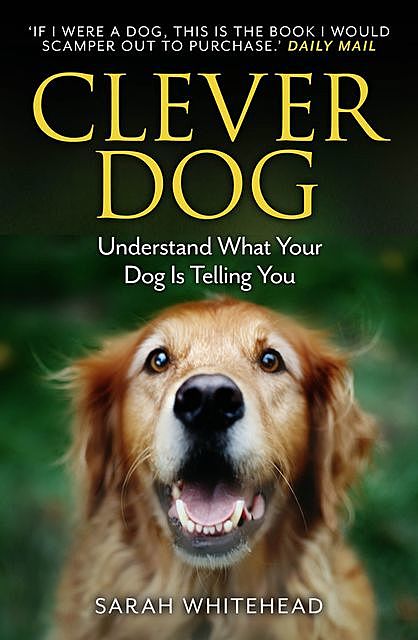 Clever Dog, Sarah Whitehead