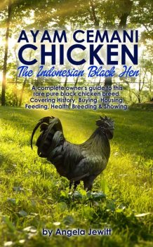 Ayam Cemani Chicken – The Indonesian Black Hen. A complete owner's guide to this rare pure black chicken breed. Covering History, Buying, Housing, Feeding, Health, Breeding & Showing, Angela Jewitt