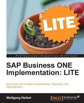 SAP Business ONE Implementation: LITE, Wolfgang Niefert