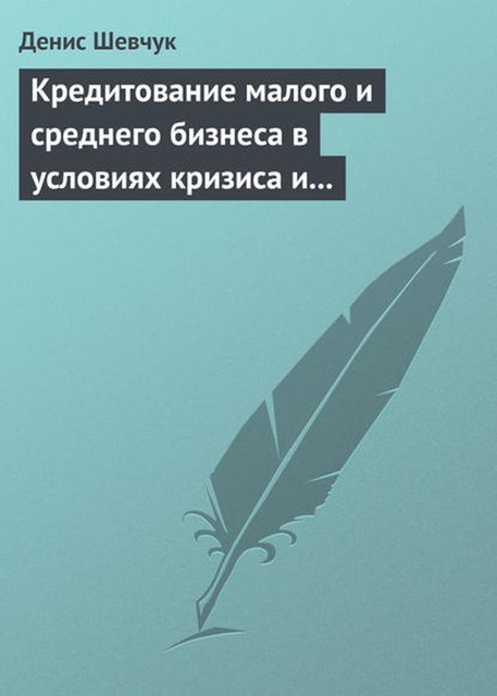 Кредитование малого и среднего бизнеса в условиях кризиса и финансовой нестабильности, Денис Шевчук