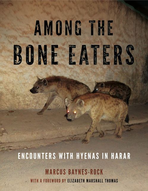 Among the Bone Eaters, Marcus Baynes-Rock
