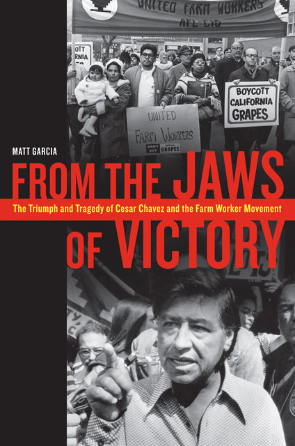 From the Jaws of Victory, Matthew Garcia