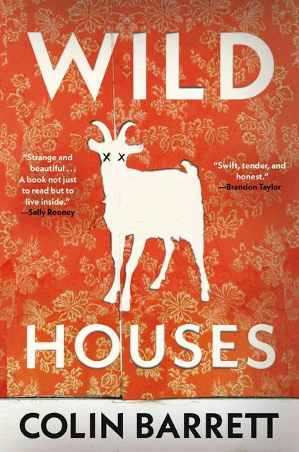 Wild Houses, Colin Barrett