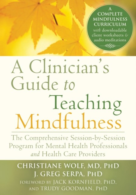 Clinician's Guide to Teaching Mindfulness, Christiane Wolf
