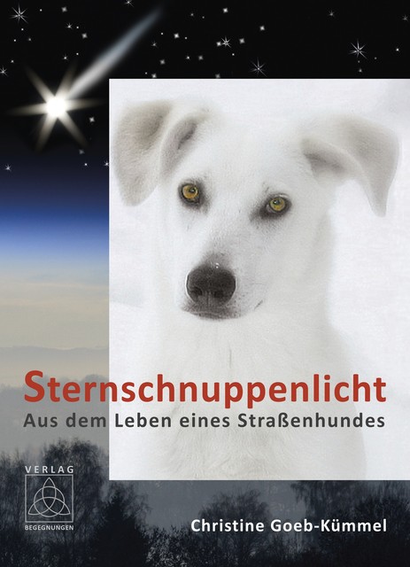 Sternschnuppenlicht, Christine Goeb-Kümmel