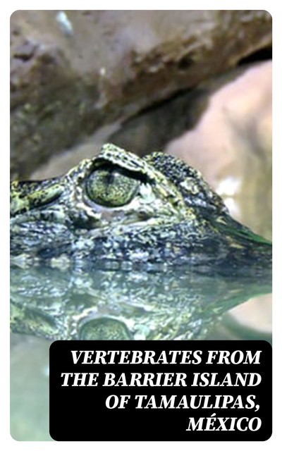 Vertebrates from the Barrier Island of Tamaulipas, México, Richard F.Johnston, B.J. Wilks, Gerald G. Raun, Robert K. Selander