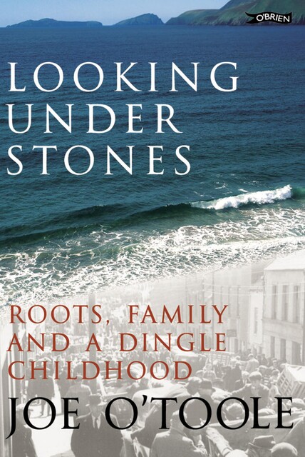 Looking Under Stones, Joe O'Toole