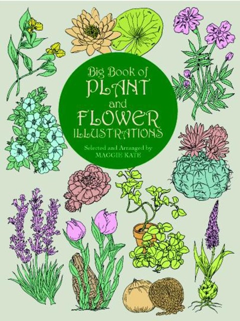 Big Book of Plant and Flower Illustrations, Maggie Kate