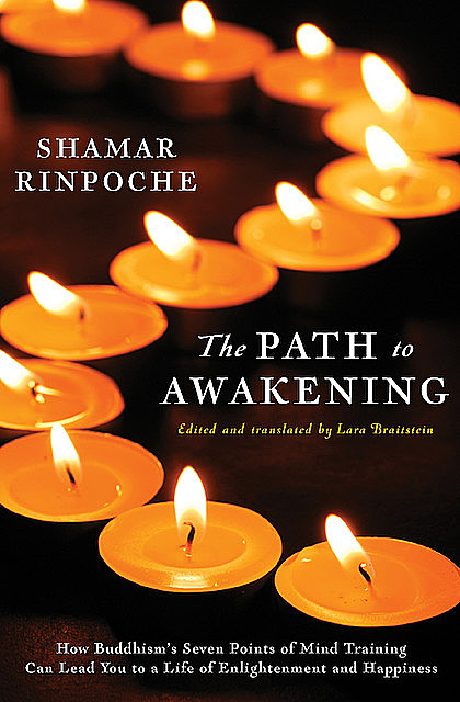 The Path to Awakening, Shamar Rinpoche