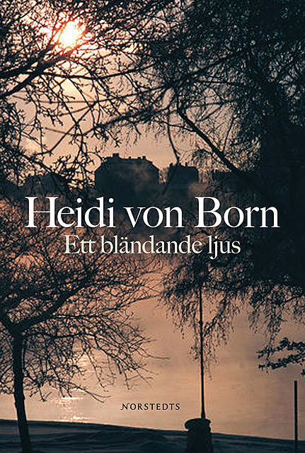 Ett bländande ljus, Heidi von Born
