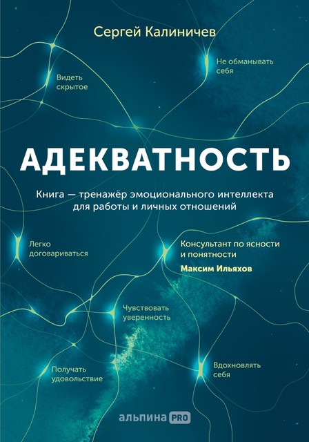 Адекватность. Как видеть суть происходящего, принимать хорошие решения и создавать результат без стресса, Сергей Калиничев