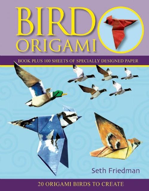 Bird Origami, Seth Friedman