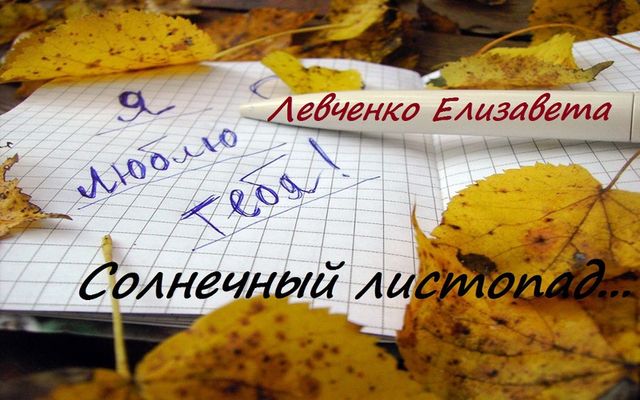 Солнечный листопад 1 (ч.1-6), Елизавета Левченко