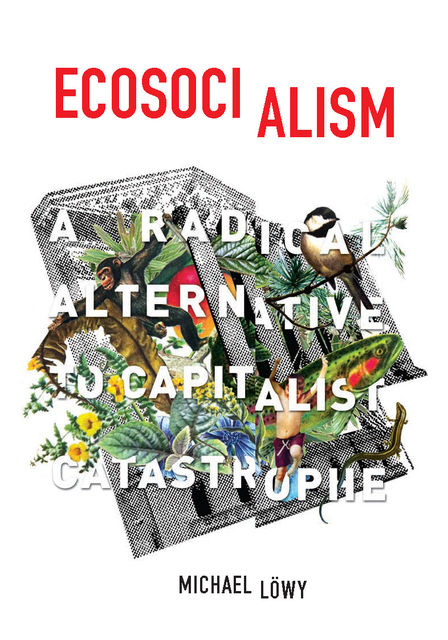 Ecosocialism, Michael Löwy