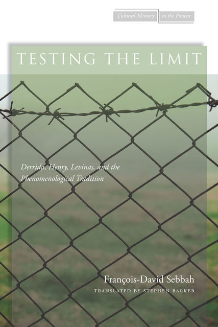Testing the Limit, François-David Sebbah