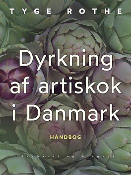 Dyrkning af artiskok i Danmark, Tyge Rothe