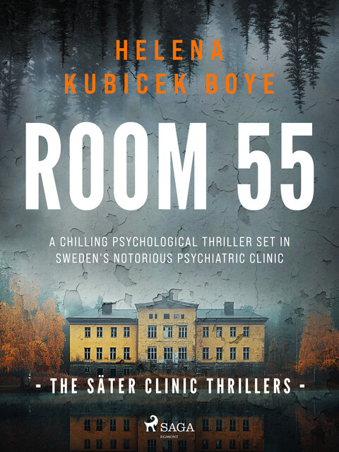 Room 55: a chilling psychological thriller set in Sweden's notorious psychiatric clinic, Helena Kubicek Boye