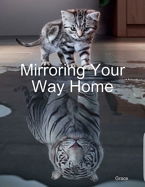 Mirroring Your Way Home, Grace