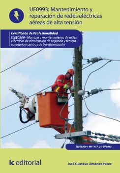 Mantenimiento de redes eléctricas aéreas de alta tensión. ELEE0209, José Gustavo Jiménez Pérez