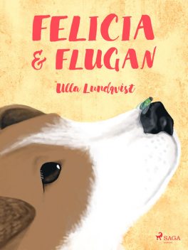 Felicia och flugan, Ulla Lundqvist