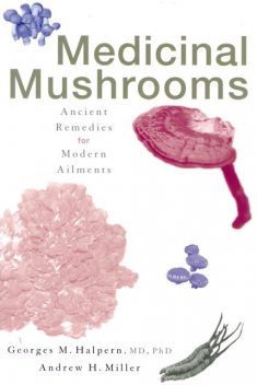 Medicinal Mushrooms, Andrew Miller, Georges M. Halpern