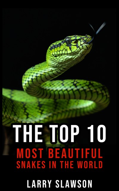 The Top 10 Most Beautiful Snakes in the World, Larry Slawson