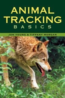 Animal Tracking Basics, Tiffany Morgan