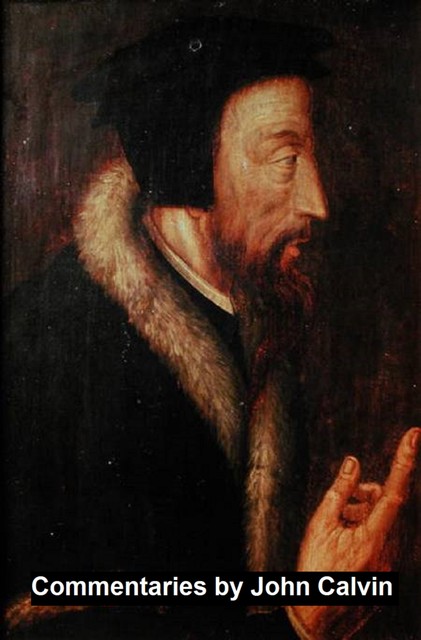 Commentaries, John Calvin