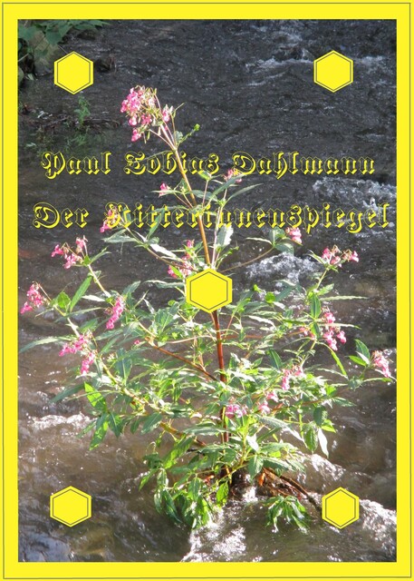Der Ritterinnenspiegel, Paul Tobias Dahlmann