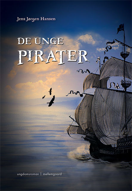 De unge pirater, Jens Hansen