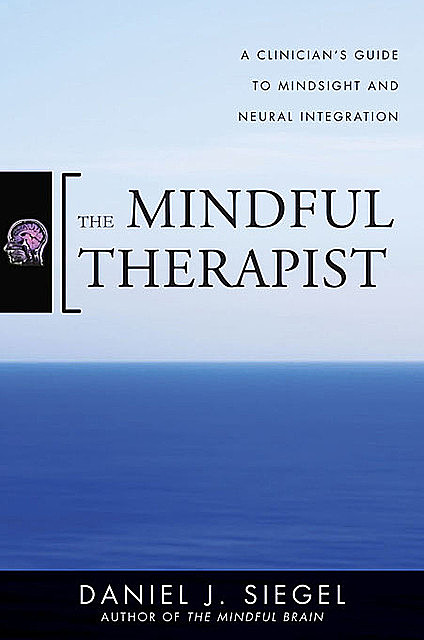 The Mindful Therapist: A Clinician's Guide to Mindsight and Neural Integration (Norton Series on Interpersonal Neurobiology), Daniel Siegel