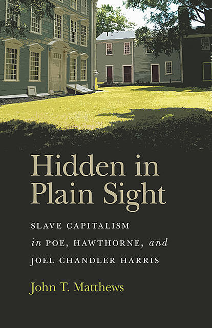 Hidden in Plain Sight, John Matthews