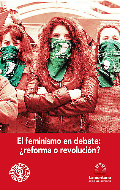 El feminismo en debate ¿reforma o revolución, Celeste Fierro