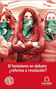 El feminismo en debate ¿reforma o revolución, Celeste Fierro