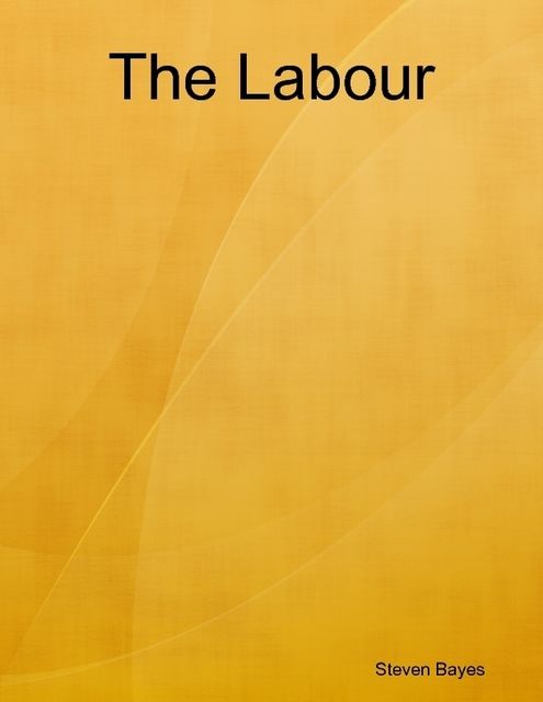 The Labour, Steven Bayes