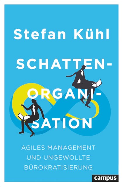 Schattenorganisation, Stefan Kühl