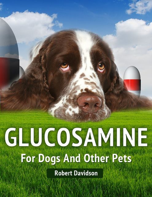 Glucosamine for Dogs and Other Pets, Robert Davidson