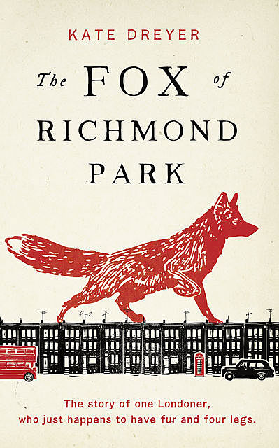 Fox Of Richmond Park, Kate Dreyer