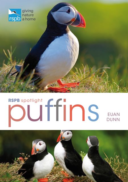 RSPB Spotlight: Puffins, Euan Dunn