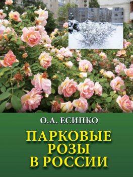 Парковые розы в России, Есипко Олег