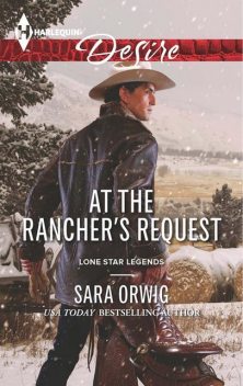 At the Rancher's Request, Sara Orwig