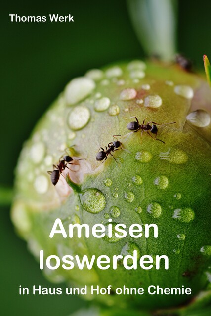 Ameisen loswerden, Thomas Werk